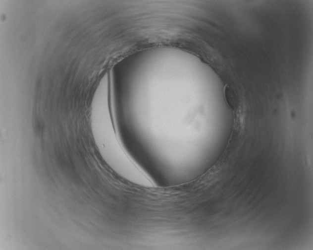 X0000051871012200507081842