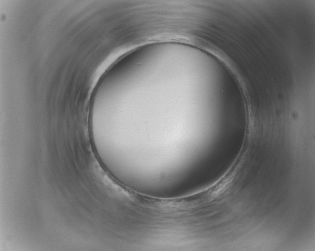 X0000051871102200507081841