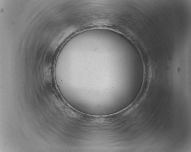 X0000051871162200507081840