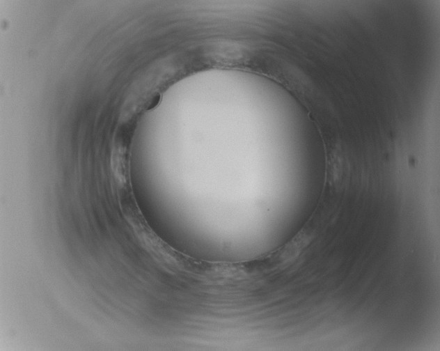 X0000051871346200507081837