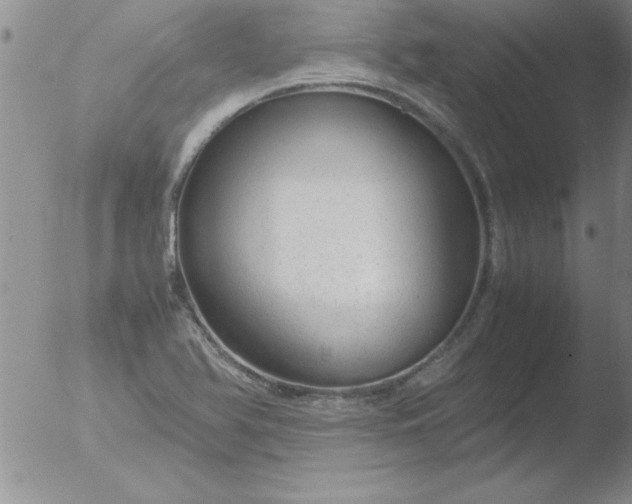 X0000051871366200507081837