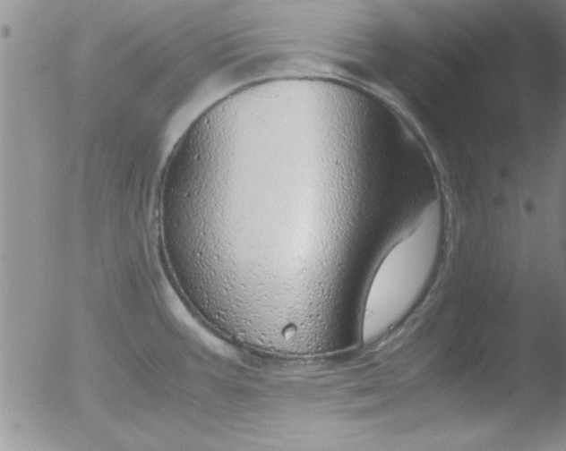 X0000051871387200507081837