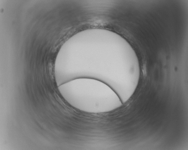 X0000051871396200507081836