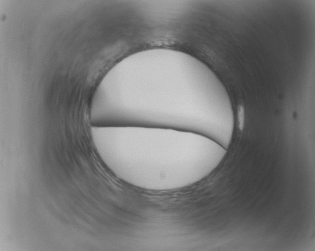 X0000051871444200507081836