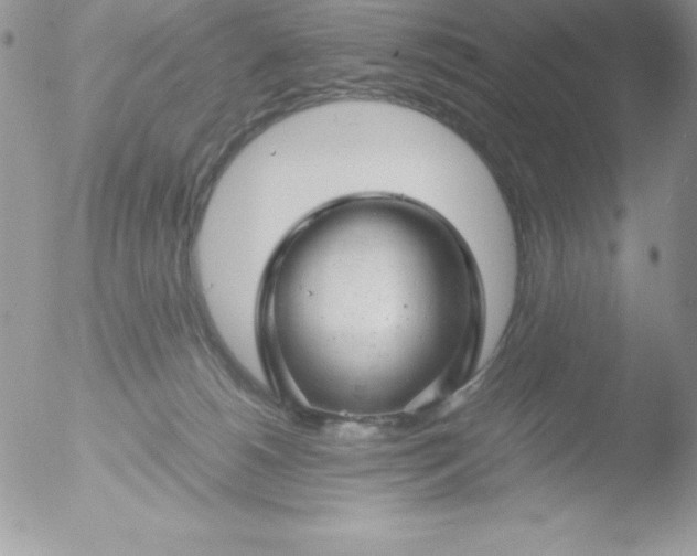 X0000051870180200507151856