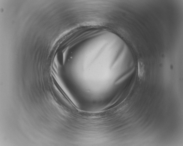 X0000051870204200507151855