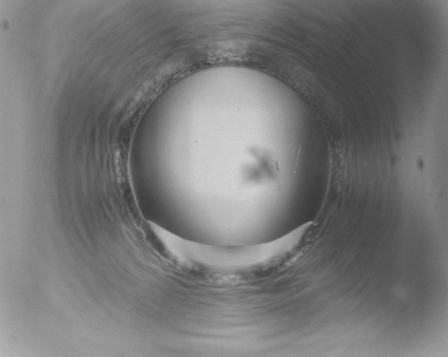 X0000051870224200507151855
