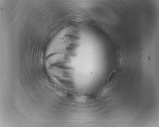 X0000051870226200507151855