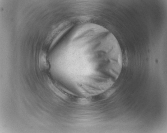 X0000051870238200507151854