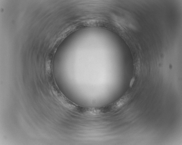 X0000051870278200507151854