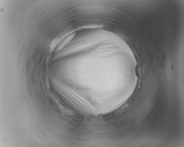 X0000051870337200507151852