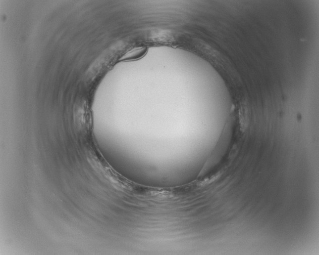 X0000051870424200507151851