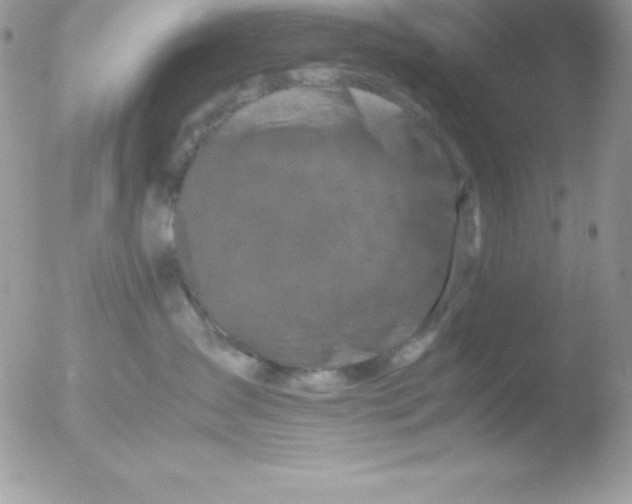 X0000051870431200507151851