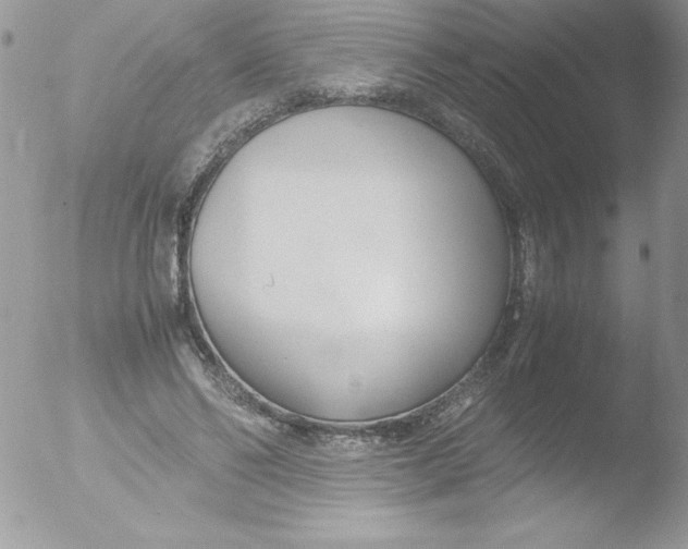 X0000051870494200507151850