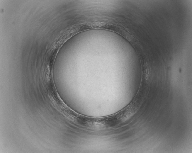 X0000051870498200507151850