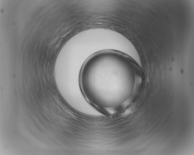 X0000051870566200507151849