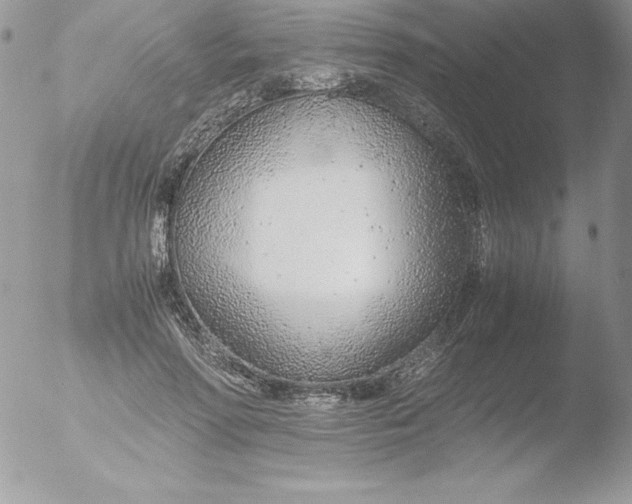 X0000051870598200507151848
