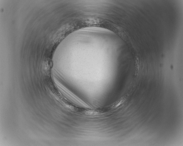 X0000051870614200507151848