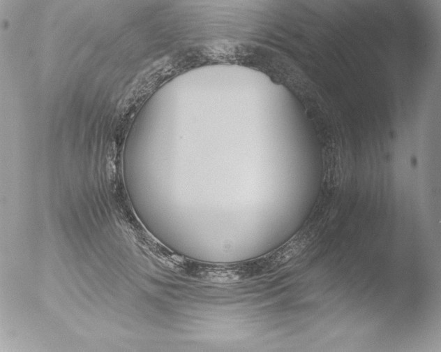 X0000051870702200507151846