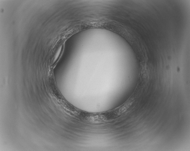 X0000051870752200507151846