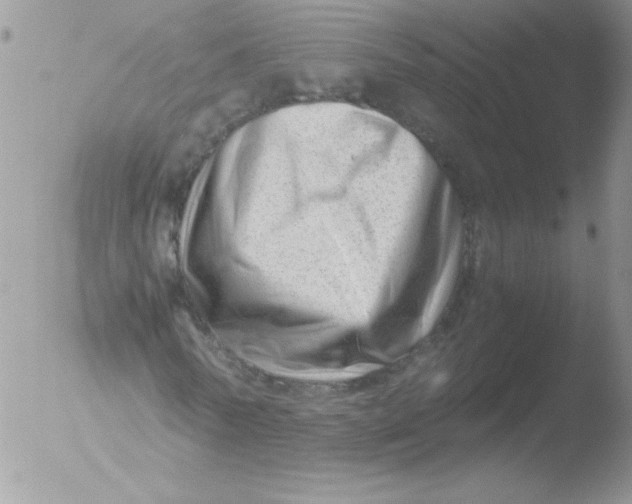 X0000051870770200507151845