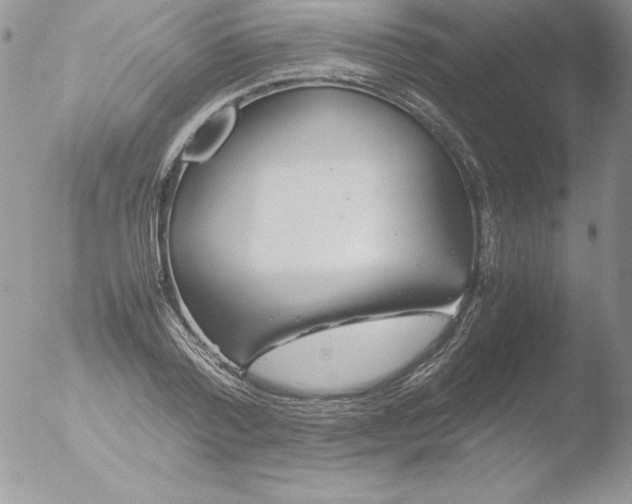 X0000051870788200507151845