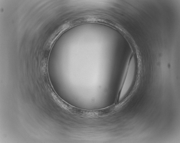 X0000051870801200507151845