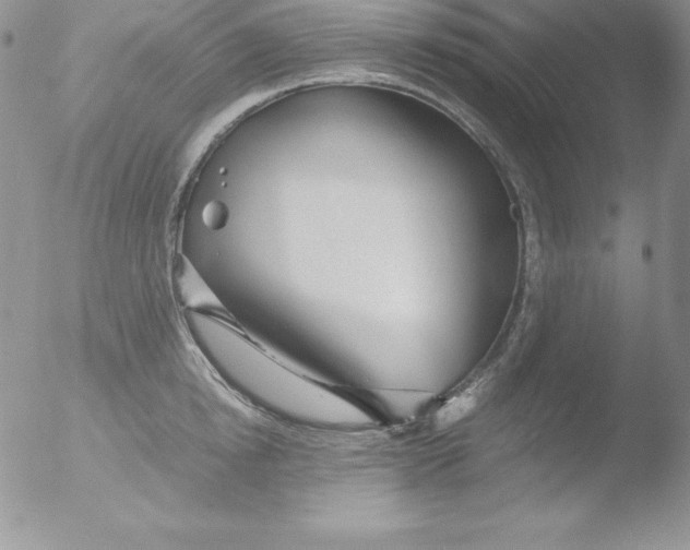 X0000051870854200507151844