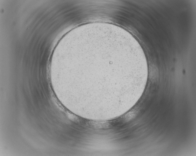 X0000051870856200507151844
