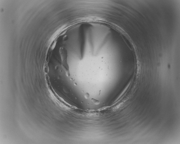 X0000051870946200507151843