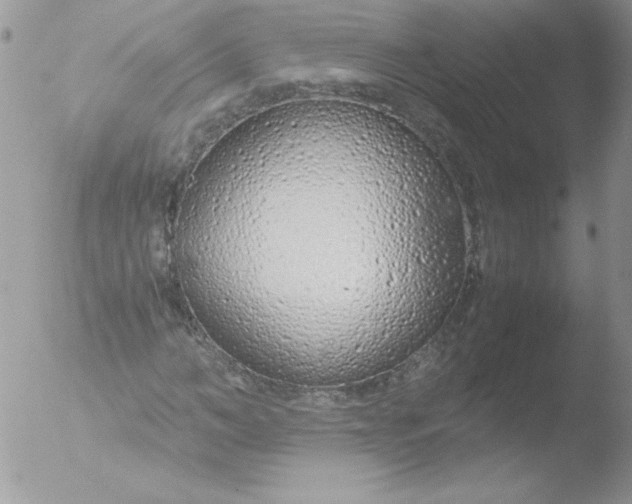 X0000051870966200507151842