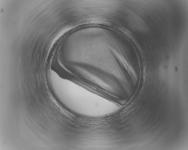 X0000051871024200507151841