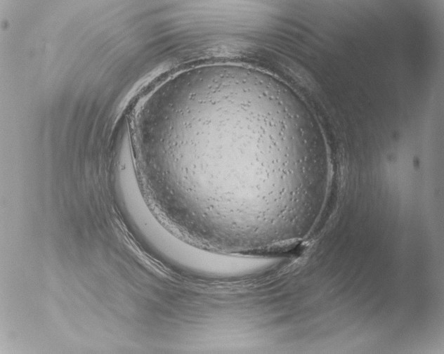 X0000051871026200507151841