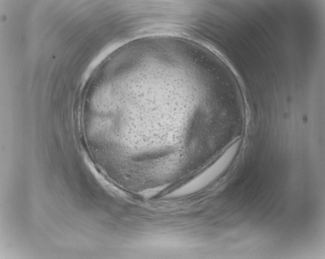 X0000051871101200507151840