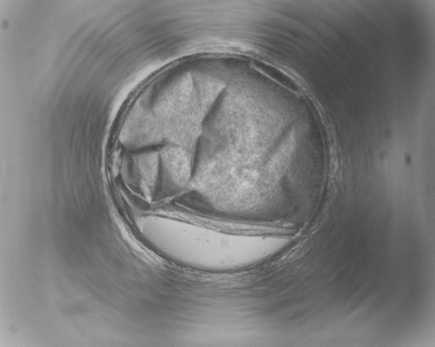 X0000051871128200507151839