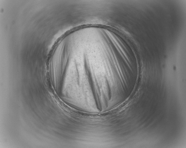 X0000051871264200507151837