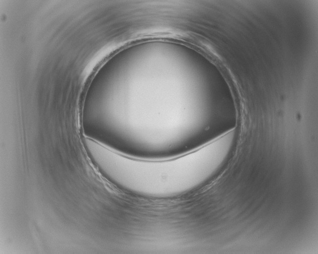 X0000051871328200507151836