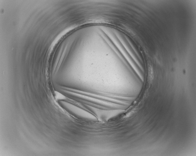X0000051871331200507151836
