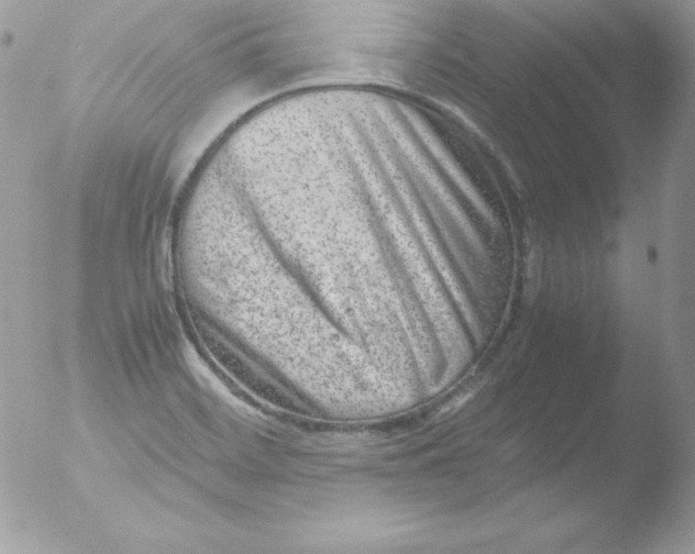 X0000051871468200507151834