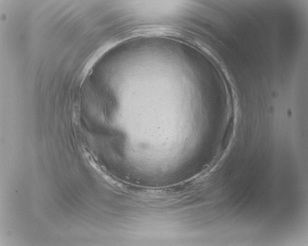 X0000051871481200507151833