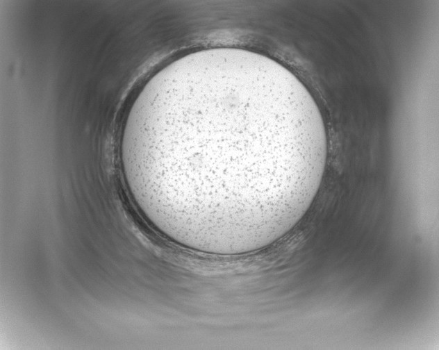 X0000051870012200507221935