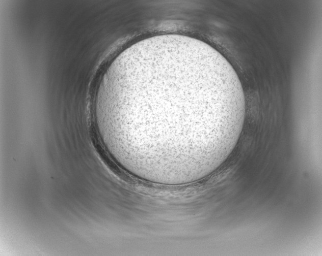 X0000051870016200507221935