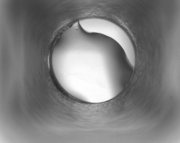 X0000051870019200507221935