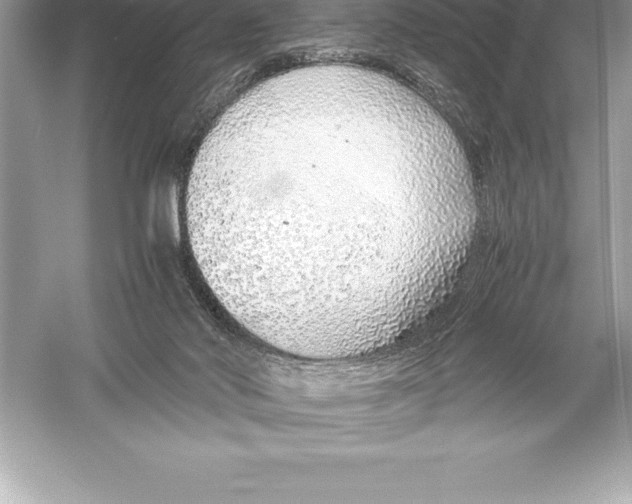 X0000051870022200507221935