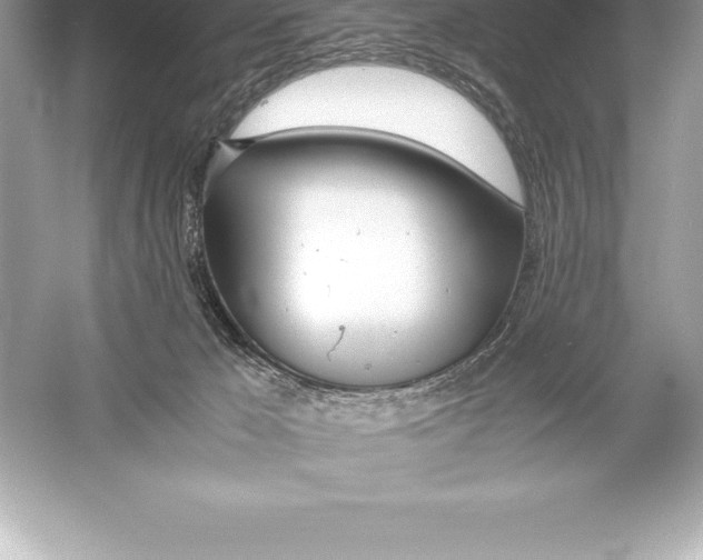 X0000051870029200507221935