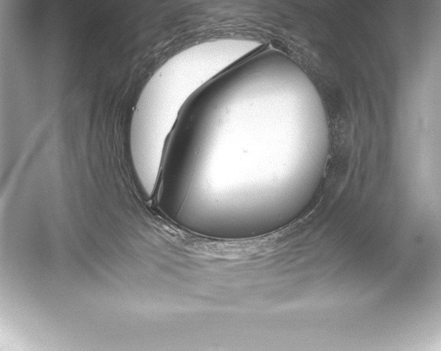 X0000051870033200507221935