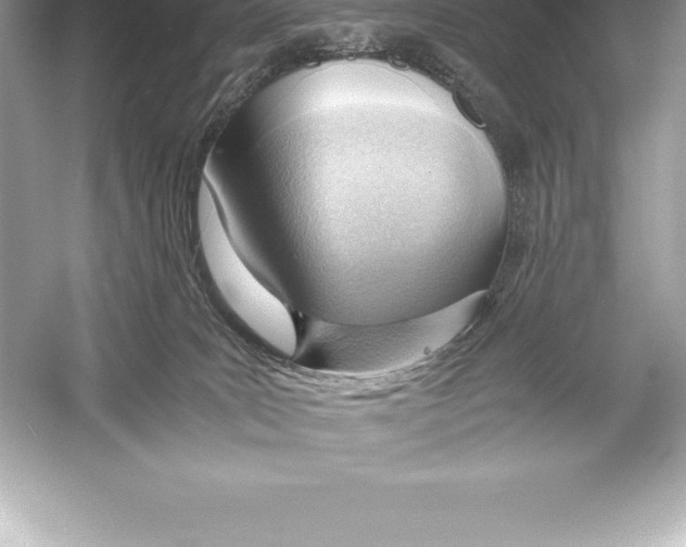 X0000051870035200507221935