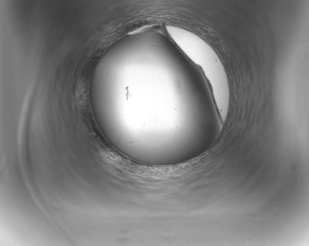 X0000051870037200507221935