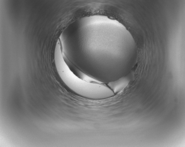 X0000051870039200507221935