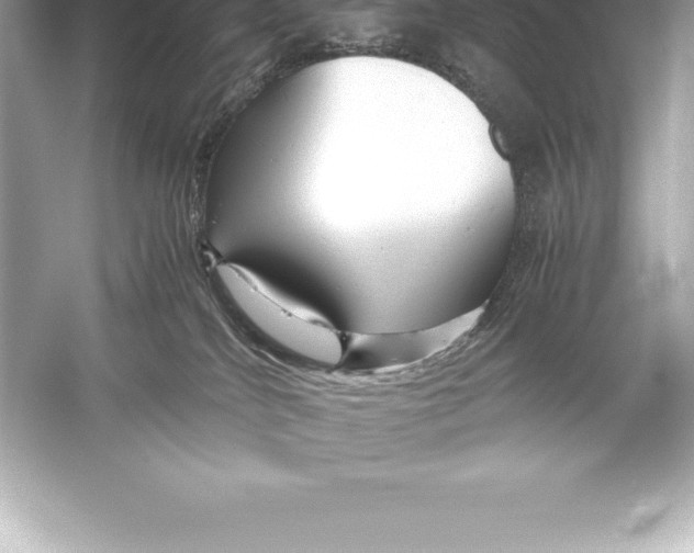 X0000051870040200507221935